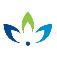 alchemin consulting ltd