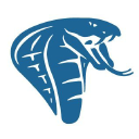 cobra structures limited