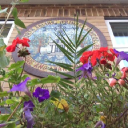 north ealing limited