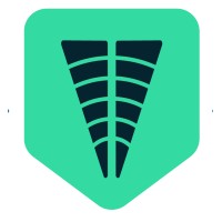 vigilant scanning ltd