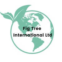 fig tree international ltd