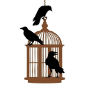 the rapscallion cage ltd