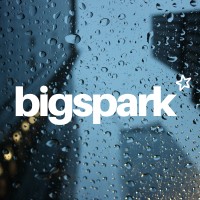 bigspark limited