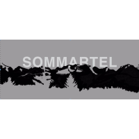 sommartel ltd