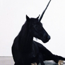 ld collective limited