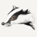 wellspotted studio limited