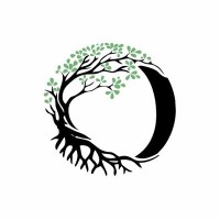 beyond wealth limited