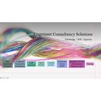cognisant consultancy solutions limited