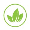 vectur energy services ltd