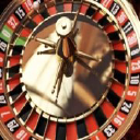 oliver's pub & kitchen ltd