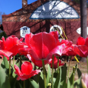 eastcroft property ltd