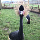 chew valley animal park ltd