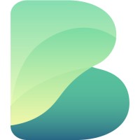 bridgehead consultancy limited