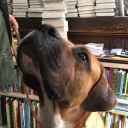 together group studios limited