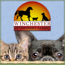 winchester v.e limited