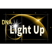 dna light up ltd