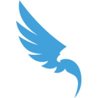 global drone alliance limited