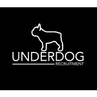 underdog recruitment limited