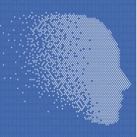 ceverine holdings limited