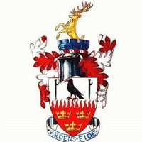 brentwood town fc limited