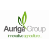 the auriga group ltd