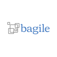 bagile limited