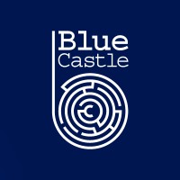 blue castle group limited