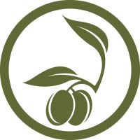 olivetree marketing ltd