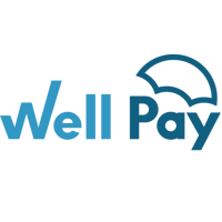 well pay umbrella ltd