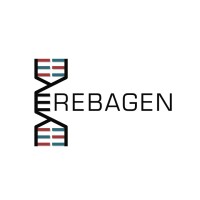 erebagen ltd