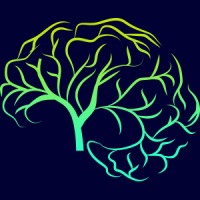 sapio consulting ltd