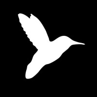 we are hummingbird limited
