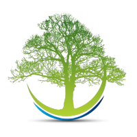 anglo renewables ltd