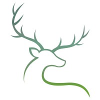 suffolk tax accountants ltd