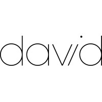 david technology ltd