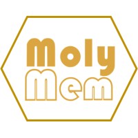 molymem limited