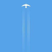 swift travel consultancy limited