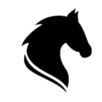 flat roofing tools limited