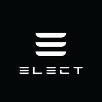 elect motor group limited