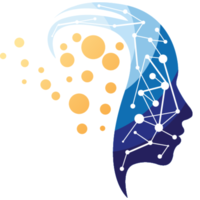 digital anthropology limited