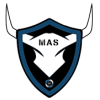 mas-security ltd