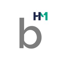 dice business limited