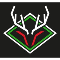 stag cricket limited