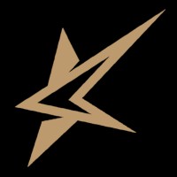 twenty five investments limited