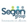 the segen group limited
