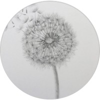 dandelion.london limited