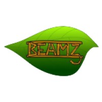beamz trust cic