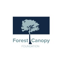 forest canopy foundation