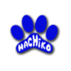 hachiko ltd