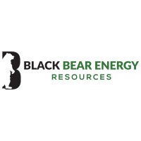 black bear energy resources limited